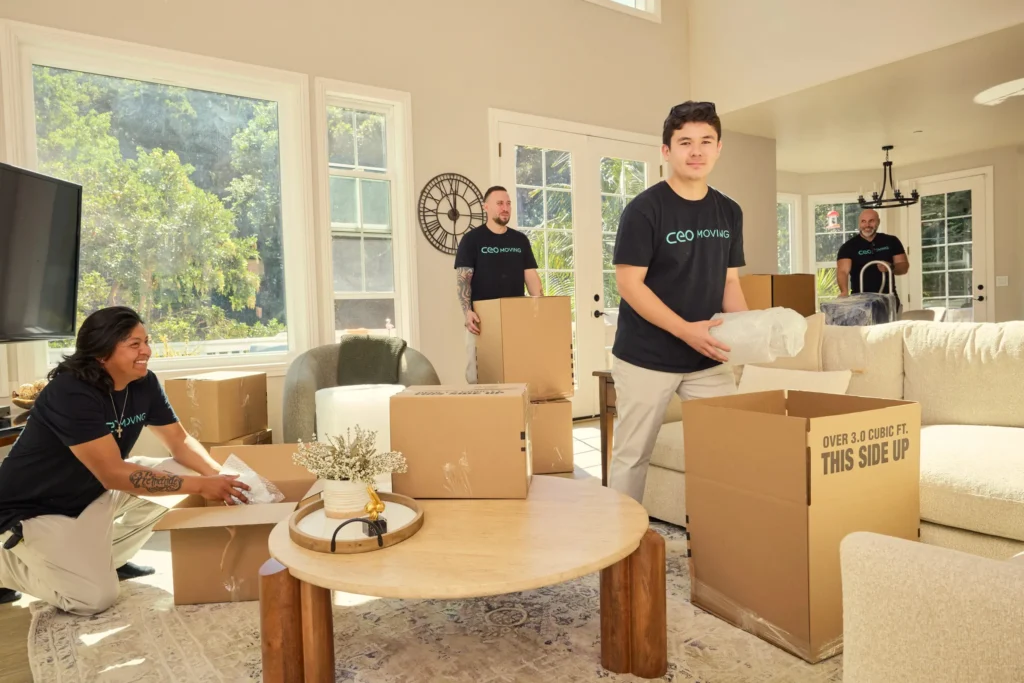 CEO Moving crew packing boxes in a 1-bedroom apartment living room, movers cost bay area